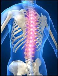 spine treatment germany
